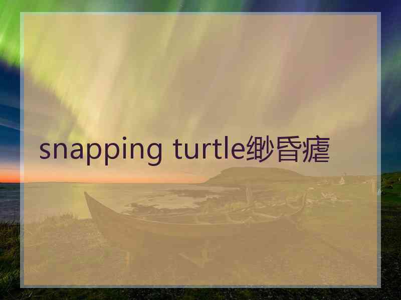 snapping turtle缈昏瘧