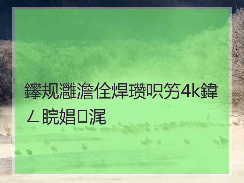 鑻规灉澹佺焊瓒呮竻4k鍏ㄥ睆娼浘