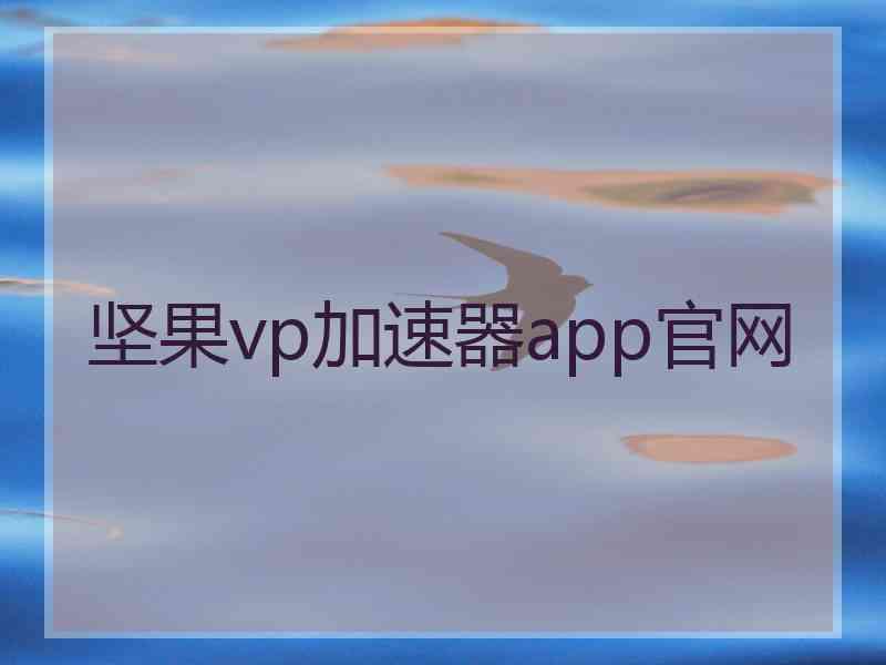 坚果vp加速器app官网