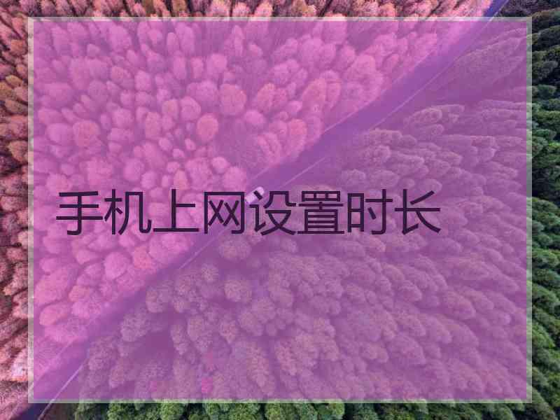 手机上网设置时长