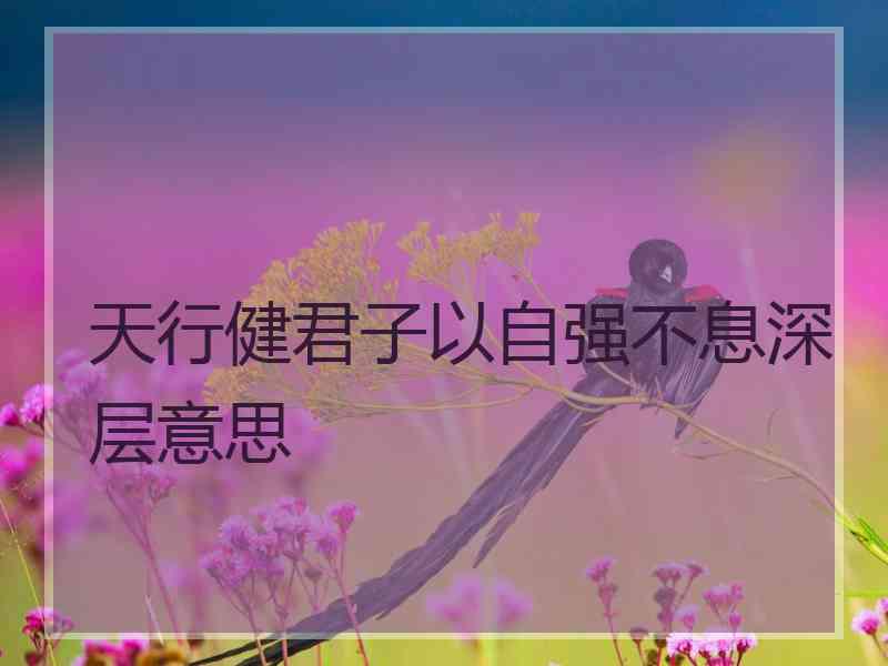 天行健君子以自强不息深层意思