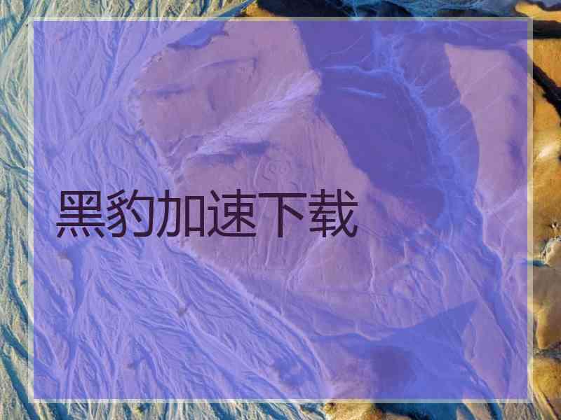 黑豹加速下载