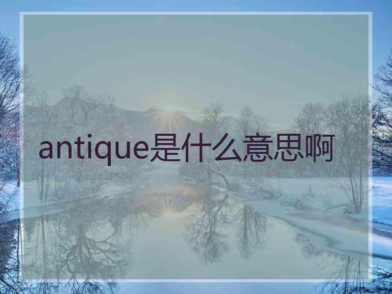 antique是什么意思啊