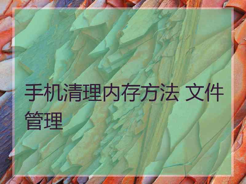 手机清理内存方法 文件管理