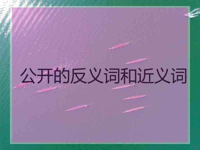 公开的反义词和近义词