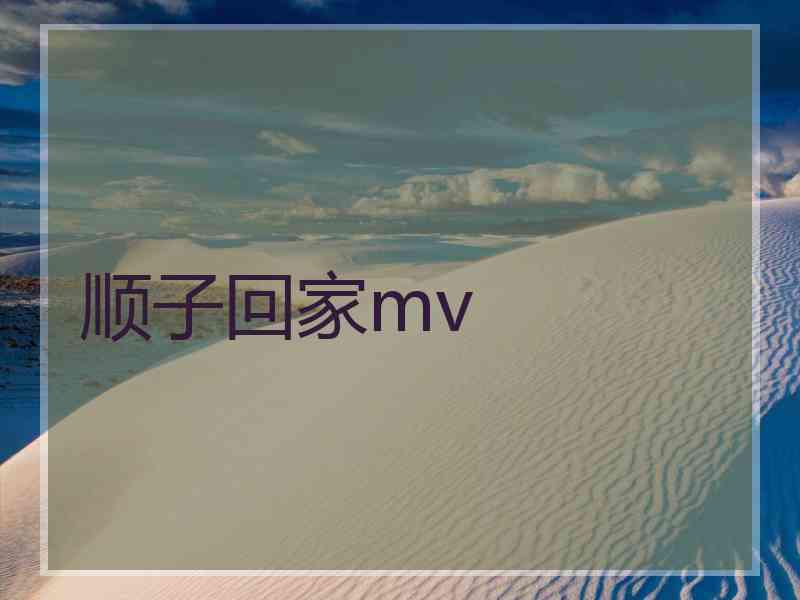 顺子回家mv