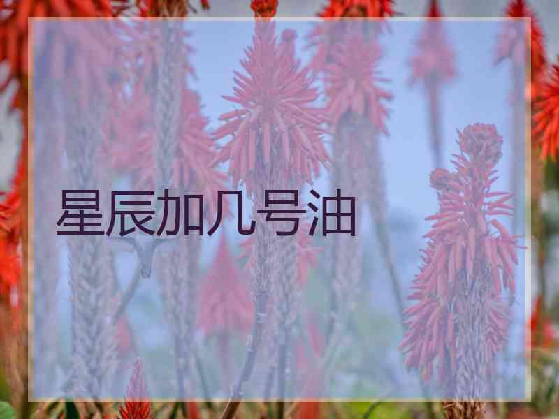 星辰加几号油