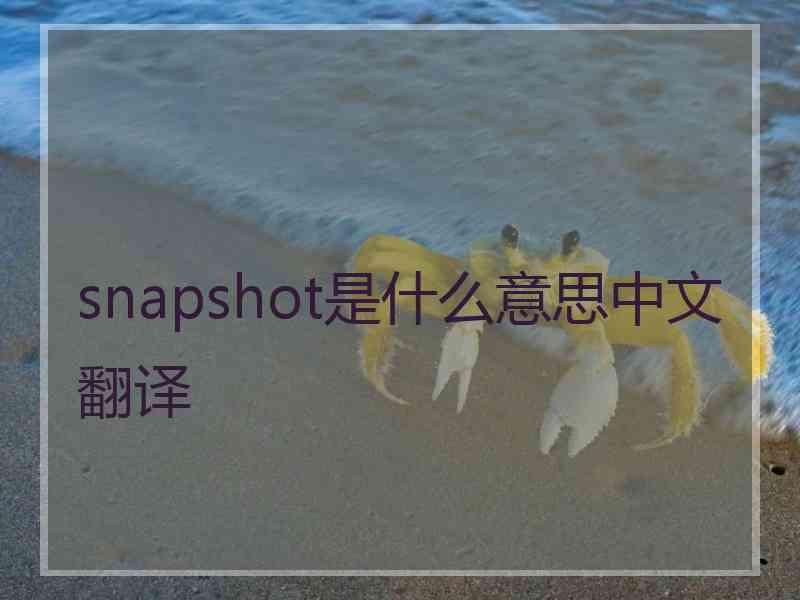 snapshot是什么意思中文翻译