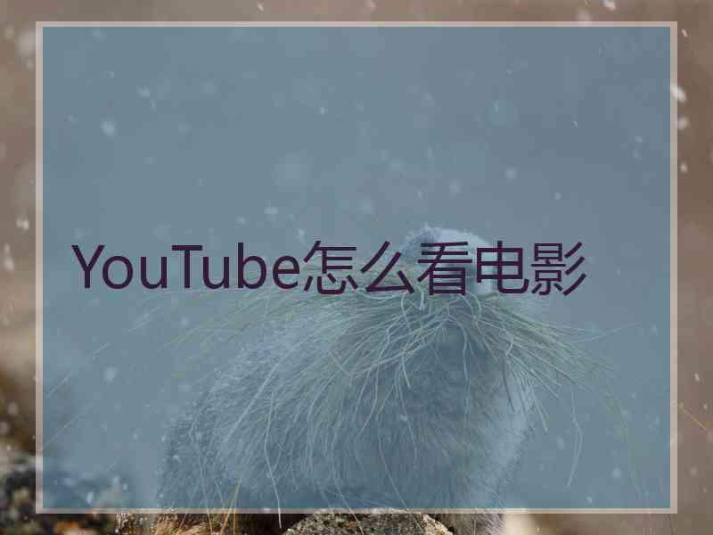 YouTube怎么看电影