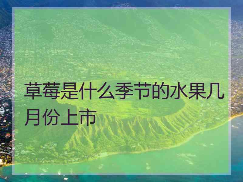 草莓是什么季节的水果几月份上市