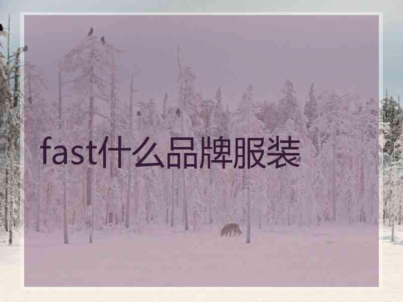 fast什么品牌服装