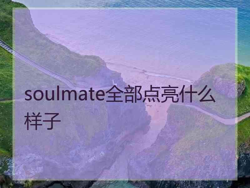 soulmate全部点亮什么样子