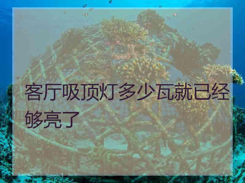 客厅吸顶灯多少瓦就已经够亮了