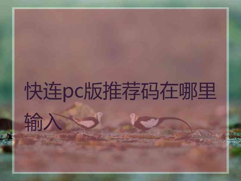 快连pc版推荐码在哪里输入