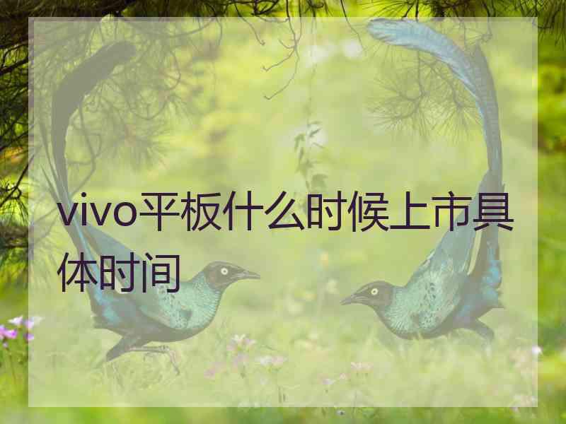 vivo平板什么时候上市具体时间