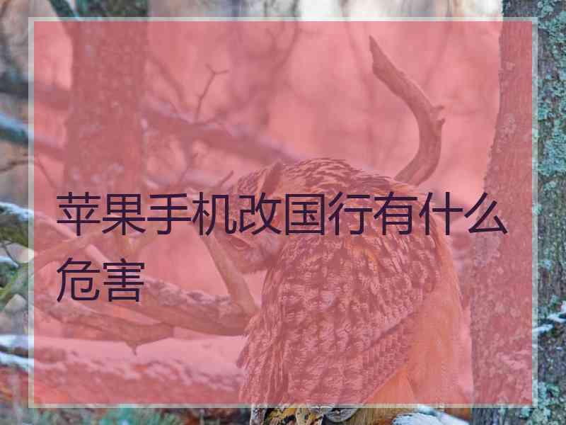 苹果手机改国行有什么危害