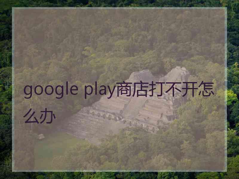 google play商店打不开怎么办