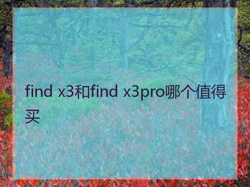 find x3和find x3pro哪个值得买