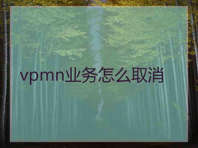 vpmn业务怎么取消