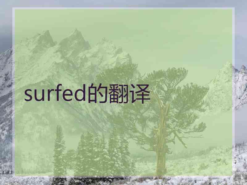 surfed的翻译