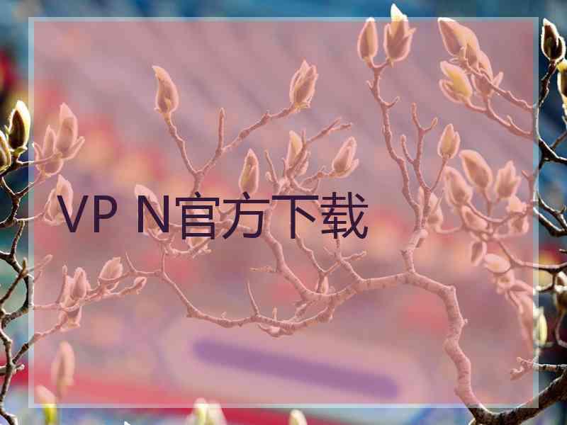 VP N官方下载