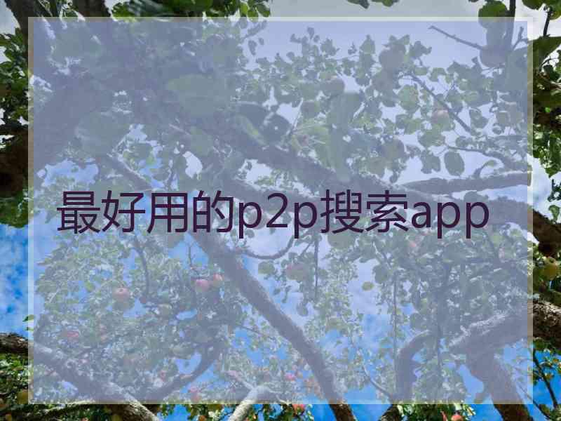 最好用的p2p搜索app