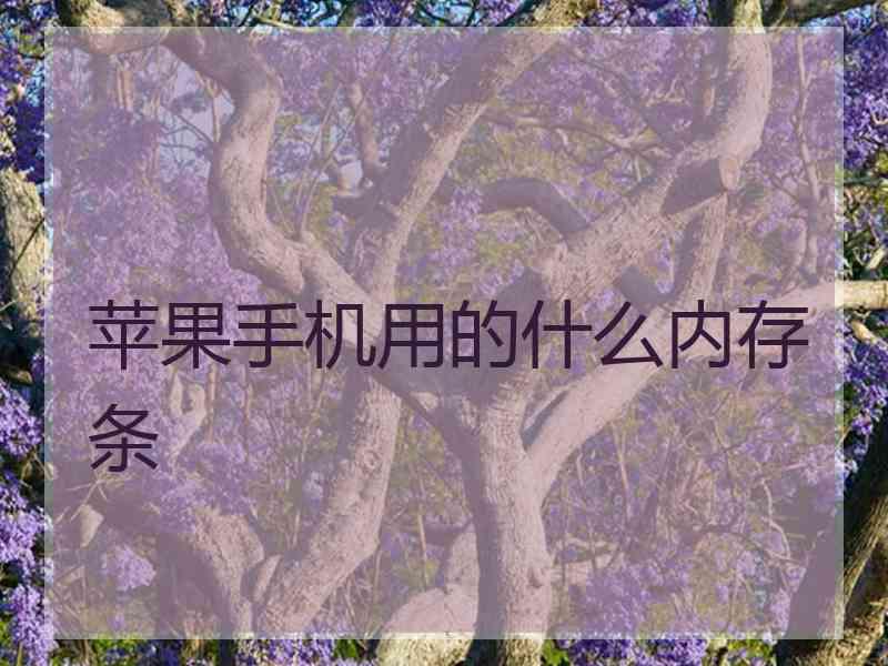 苹果手机用的什么内存条