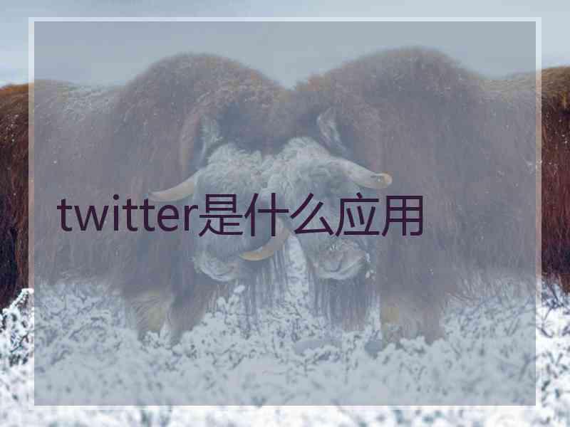 twitter是什么应用