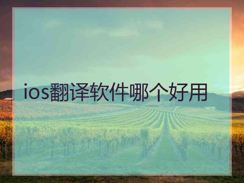 ios翻译软件哪个好用