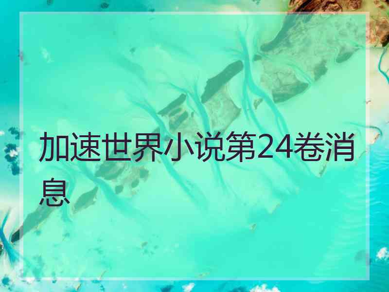 加速世界小说第24卷消息