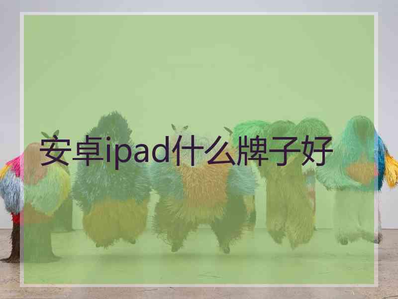 安卓ipad什么牌子好