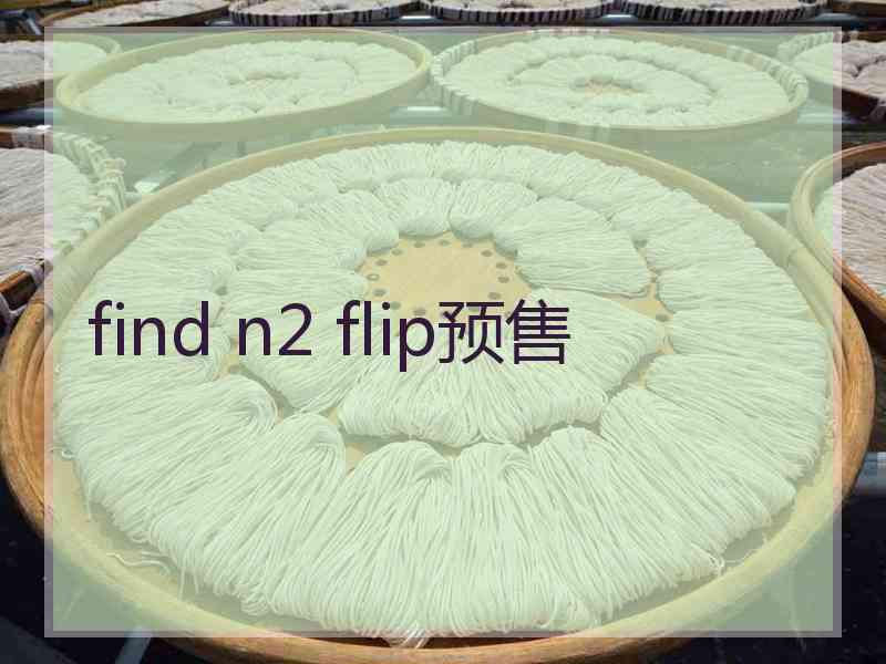 find n2 flip预售