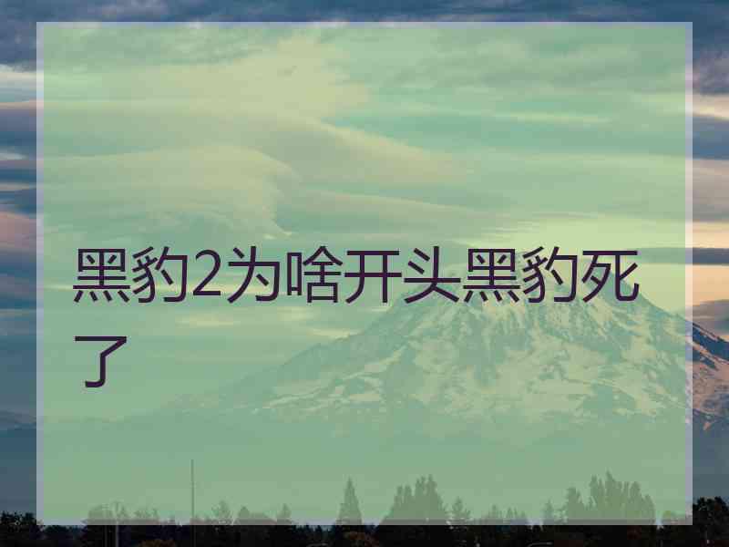 黑豹2为啥开头黑豹死了