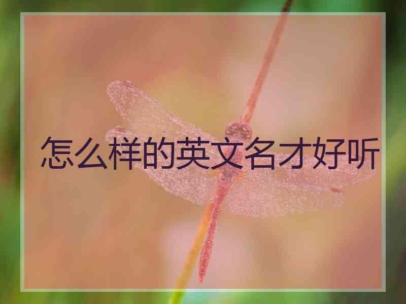 怎么样的英文名才好听