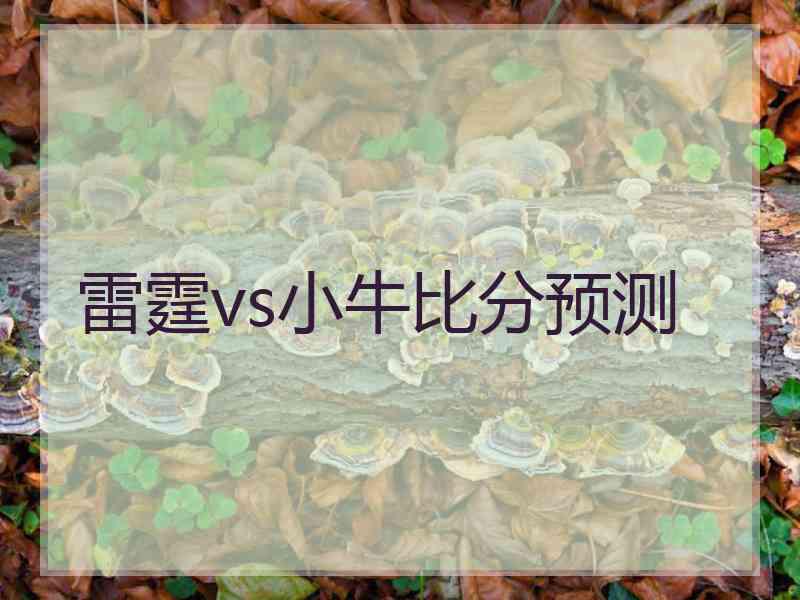 雷霆vs小牛比分预测