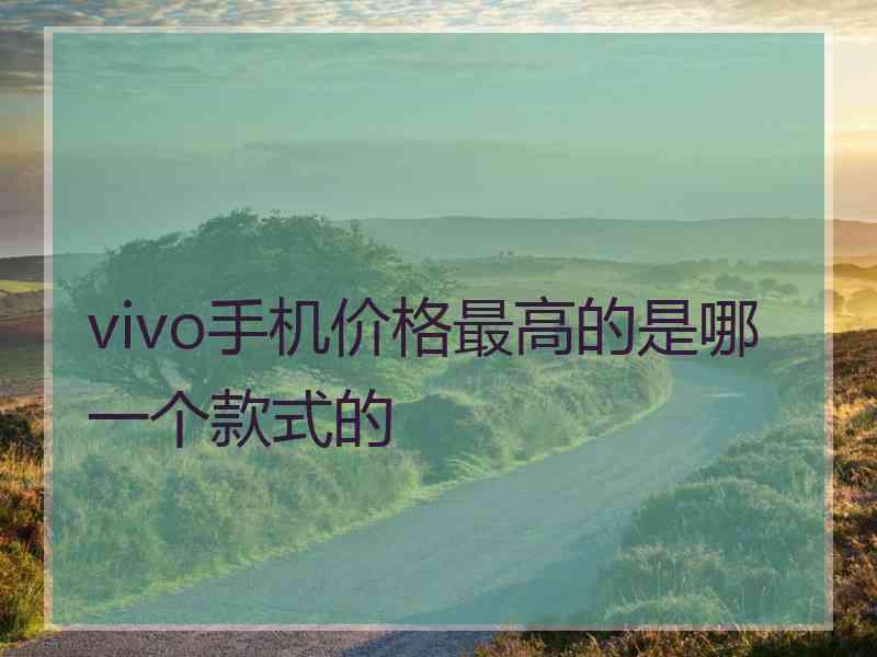 vivo手机价格最高的是哪一个款式的