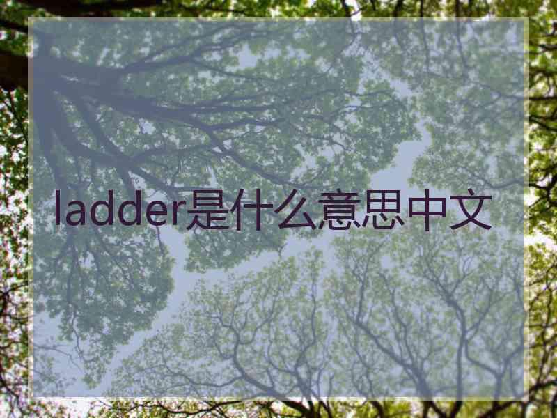 ladder是什么意思中文