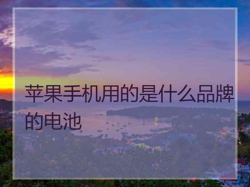 苹果手机用的是什么品牌的电池