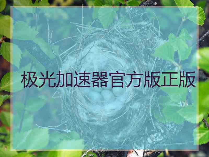 极光加速器官方版正版