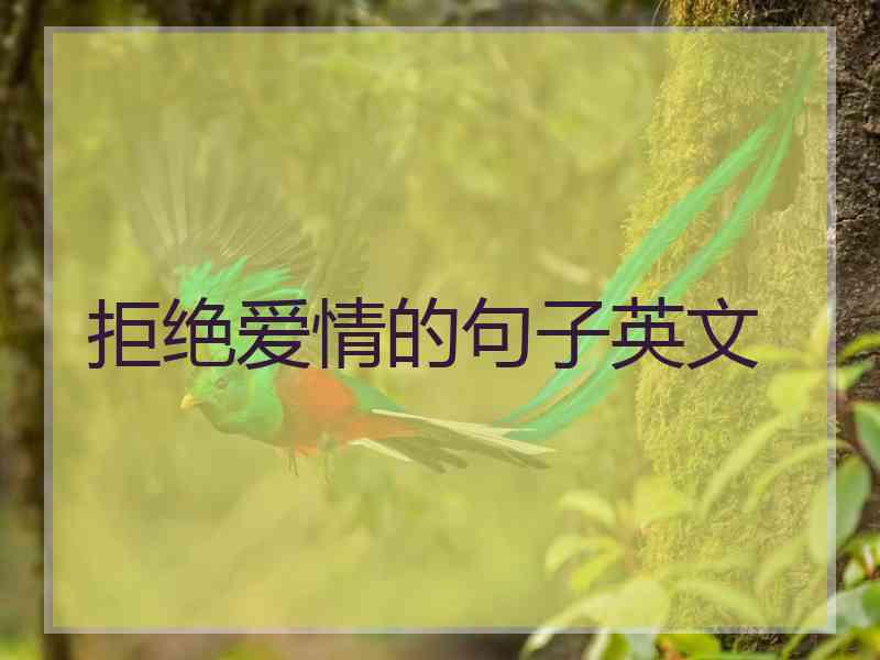 拒绝爱情的句子英文