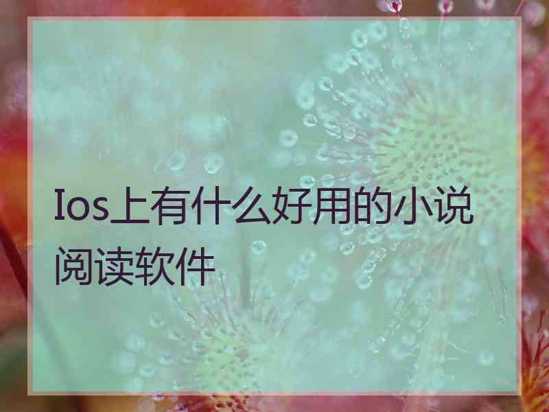 Ios上有什么好用的小说阅读软件