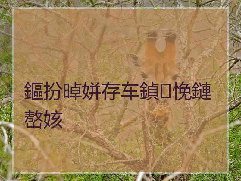 鏂扮晫姘存车鍞悗鏈嶅姟