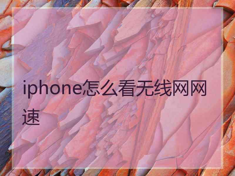 iphone怎么看无线网网速