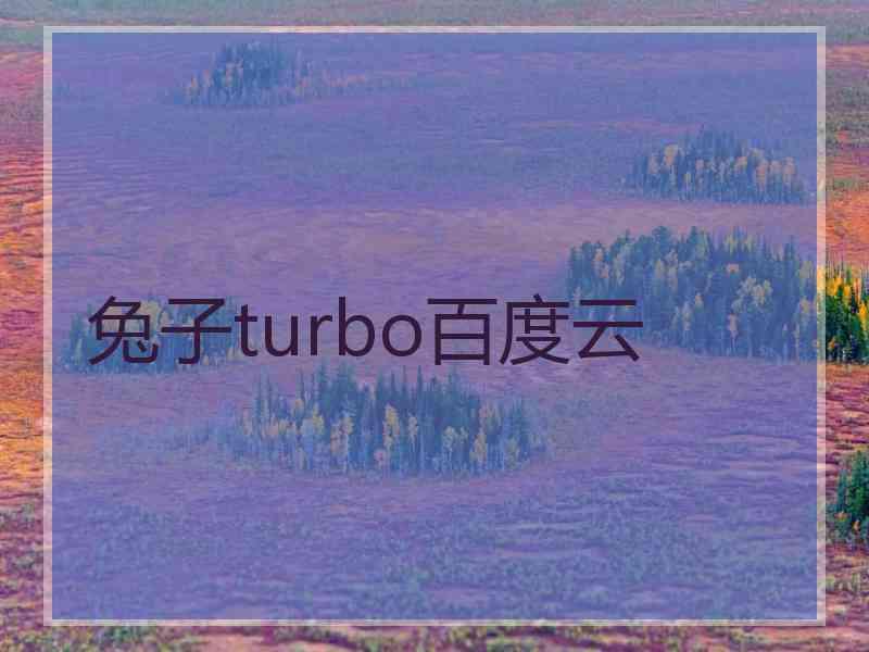 兔子turbo百度云