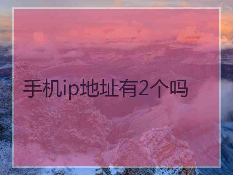 手机ip地址有2个吗