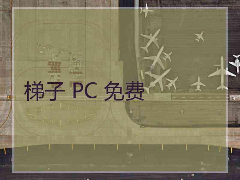 梯子 PC 免费