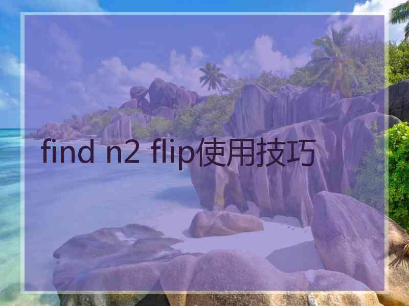 find n2 flip使用技巧