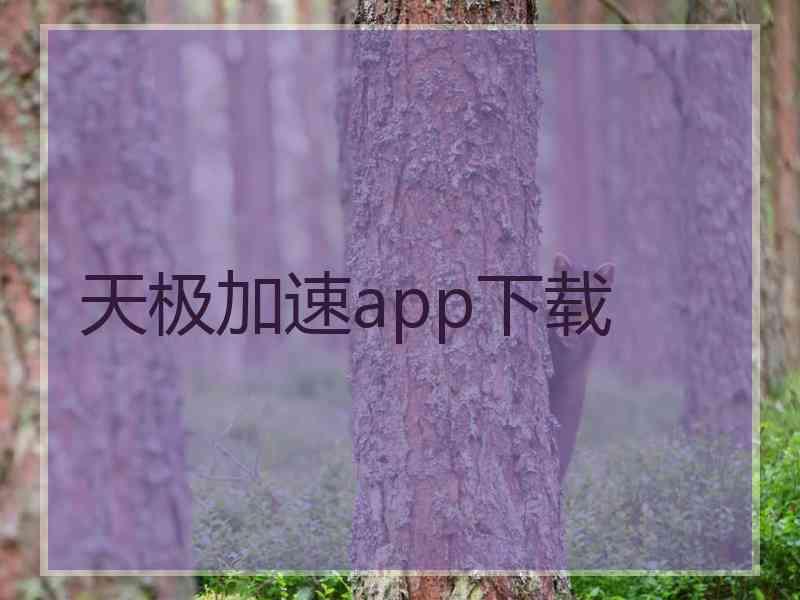 天极加速app下载