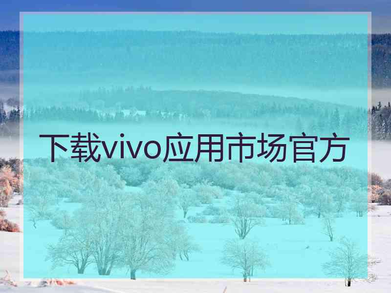 下载vivo应用市场官方