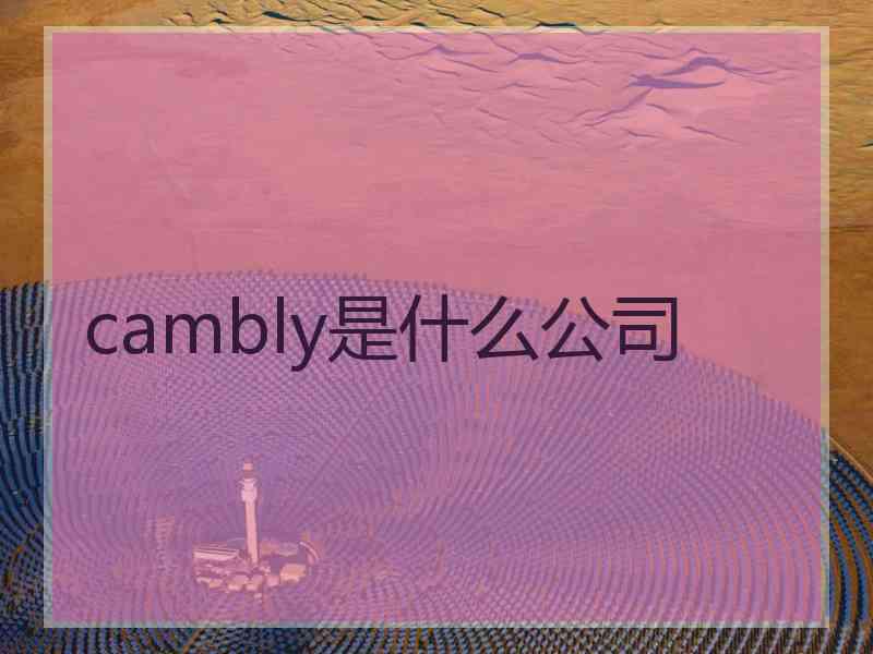 cambly是什么公司